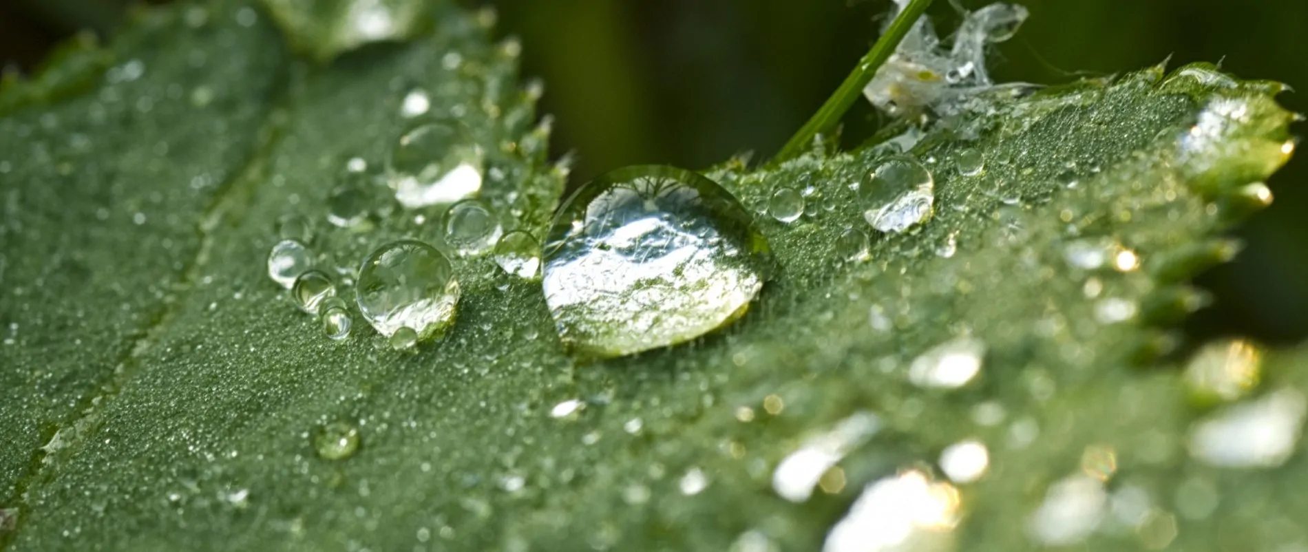 Environmental conciousness pays off in both money and reputation